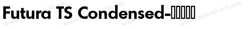 Futura TS Condensed字体转换